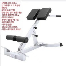 금성여자 로만체어 코어 접이식 운동 백익스텐션, 디럭스 로만 화이트