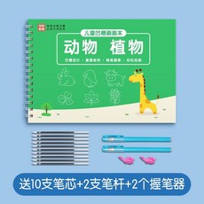 兒童凹槽控筆練習本 畫畫本 水果 蔬菜 人物 交通工具 描摹學畫, 1個, 動物植物篇,[幼兒園簡筆畫入門專用]送全套工具