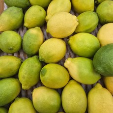 농장을부탁해 제주 제철 햇 레몬 제주레몬 청레몬 풋레몬 산지직송, 1개, 제주 흠집 레몬 4.5kg