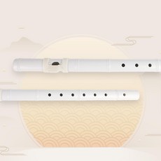 베리뮤직 라온 소금 특허보조기구 쉬운연주 케이스포함, 1개