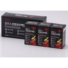 아마존 뉴 프로테인 알프스 산양유 단백질 BCAA 아르가닌 블랙마카 흑마늘 3개월분 6개월분, 1세트, 90정