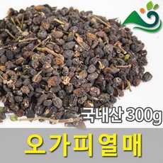 오가피열매(300g)-국내산, 300g, 1개