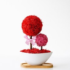 스칸디아모스 달빛모스 화분, 1개, 04_레드