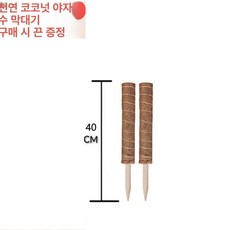 지지대 코코넛봉 원예 수태봉 지주대 식물, 두꺼운 연결목 40cm 2개 4m