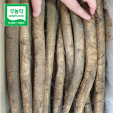 국산 무농약 우엉 속이 알찬 통우엉, 무농약 우엉2kg (다용도), 1개