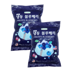 웰프레쉬 미국산 블루베리 냉동 (1KG 2묶음), 2개, 1kg