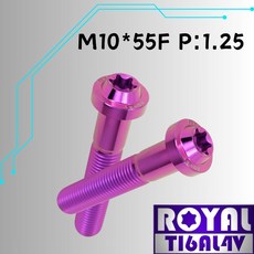 ROYAL TIGAL4V 鈦合金螺絲 飛碟頭型, 1個