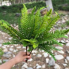 仿真蕨類植物 腎蕨大葉蕨熱帶雨林軟膠綠植裝飾擺件, 1個, 小葉波斯草1支約40cm