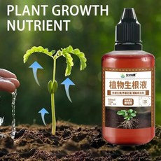 마카 뿌리 보충제 - 에너지 증가 슈퍼 흡수 스트레스 완화 활력 천연