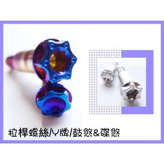 Mr king 拉桿螺絲 Y牌 鼓煞&碟煞 螺絲 白鐵 鍍鈦, 白鐵,前碟後鼓, 1個