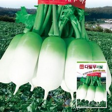 무씨앗종자 다발무기발(1만립) ASA, 1개