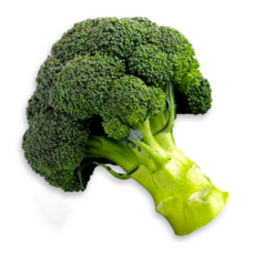 국산 제주도 브로콜리 특품, 1박스, 1kg