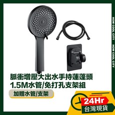 Viita 脈衝增壓大出水手持蓮蓬頭, 1個