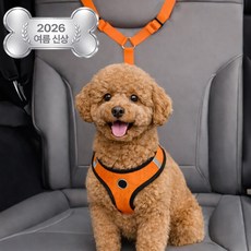 펫블리스 강아지 차량용 길이조절 안전벨트 헤드레스트 고정 Y형 리드줄, 1개, 오렌지
