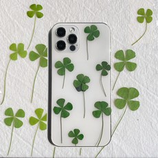 미즈코스 24매 생화 네잎클로버 압화 진공 포장 레진 아트 행운 선물, 연녹색 12매 + 진녹색 12매