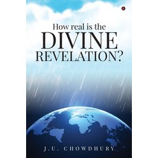 (영문도서) How real is the DIVINE REVELATION? Paperback, Notion Press, English, 9798896323457