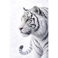 다람앤토리 돈들어오는 그림 풍수 재물복 해바라기 달항아리 돈나무 황금말 적토마 방수 그림, 그림_7