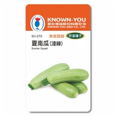 KNOWN-YOU 夏南瓜（淺綠）種子 家庭園藝特選品種，輕鬆種植，享受豐收, 1個