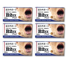 大杏生技 B2 ExPlus⁺ 錠, 6個, 20顆