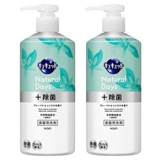 큐큣토 내추럴 데이즈 + 펌프형 주방세제 버베나 & 시트러스향, 2개, 480ml
