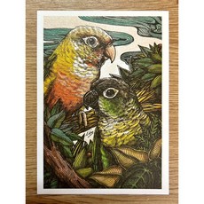 小太陽鸚鵡明信片 鸚鵡小木屋造型設計 獨特風格 傳遞溫暖祝福, 1個