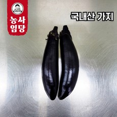 당일작업 국내산 가지, 1개, 5kg