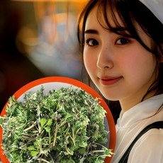 쑦쑥쑥 아주좋아요 쑥 생쑥 겨울쑥 봄쑥 200g 400g 1kg, 1개, 1.01kg