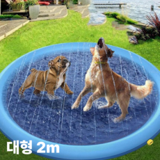 강아지수영장 애견 개 반려동물 물놀이 풀장 대형견 분수 수영장 워터파크