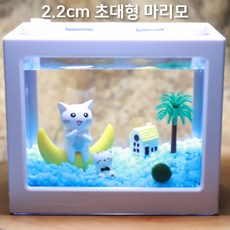 (유성플랜트디자인) 국산 2.2cm 대왕마리모세트 하얀고양이 파랑자갈, 1개