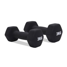홈트러브 네오프렌 아령 세트, 3kg, 2개