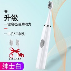 HYLSS 聲波電動牙刷 口腔清潔 無線充電, 1個, 如圖所示1379, 电池 靓丽白3刷头电池