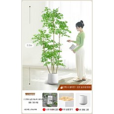 인조 미니정원 소품 조경 조화나무 조화 화분 장식 플랜테리어 나무화분 고급 조화식물, 1개, 2.2m 고밀도 남천 대나무+원형 그릇