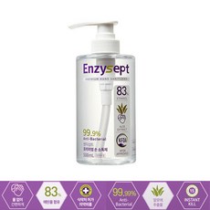 엔지셉트 프리미엄 손소독제 500ml, 1개