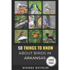 (영문도서) 50 Things to Know about Birds in Arkansas Large Print: Birding in the Natural S... Paperback, Independently Published, English, 9798303397064