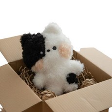 (정품) 라인프렌즈 미니 미니니 제니니 인형