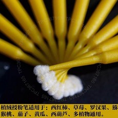 多肉植物授粉筆 10支裝 景天植物通用授粉棒工具, 1個, 顏色隨機10隻