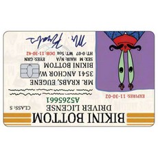 카툰 운전면허증 신용카드 스킨 패트릭 스타 스티커 패치 은행카드 무광 데칼 장식 선물, Small Chip, 7 1PCS