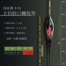 納米浮標 魚標 水滴型浮漂 高靈敏 抗走水 醒目 8443, 1個, 葫蘆形R-01【細尾高靈敏】,單支管裝