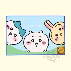 실내외 캠핑 피크닉 매트 매트커버 휴대용매트 실외매트