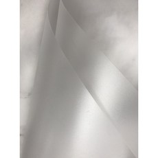 FionA PP霧透明片 厚0.3mm 防塵/磨砂片, 1個, A2-42x60cm-1片