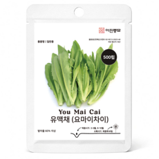 유맥채씨앗 500립 요우마이차이 종자 씨 중국인기채소 요마이차이 상추씨앗, 1개