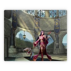 DM魔獸回憶錄 單機端遊戲 - 一鍵解壓即玩，記得存檔 Arts Books