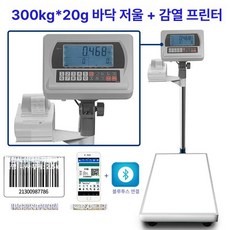 산업용 고정밀 전자 대형, 기본 모델명/품번, 계수용 바닥 300kgx20g+프린터, 1kg