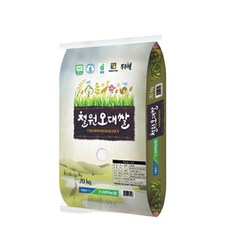 김화농협 철원오대쌀, 1개, 20 Kg