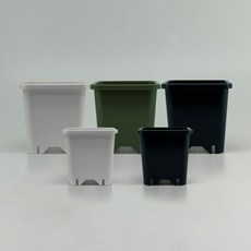 오정팟 특허 다육이 사각화분 플라스틱 화분, 1개, 녹색