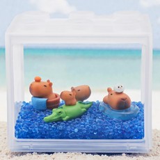 미미네아쿠아 물속 카피바라 친구들 마리모 세트
