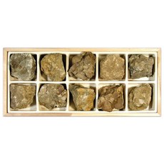 풍화 침식작용 자갈 퇴적암석 역암 표본 10개세트 모스 체험 표면 표준 유치원 원리 지질작용 색깔 결정