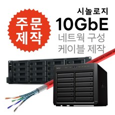 시놀로지 출장설치 및 자가설치 10기가 네트워크 구성 케이블 주문제작, 10M