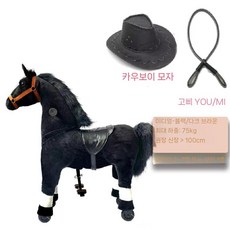 포니 사이클 흔들말 장난감 조랑말 말타기 어린이 선물 목마, 블랙헤어(블랙모자흑백로프75KGS)