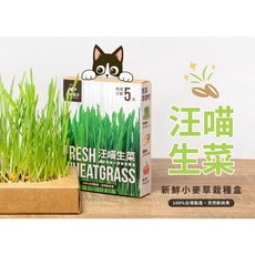 MINy 汪喵星球 汪喵生菜 貓草新鮮栽植盒, 1個, 單入